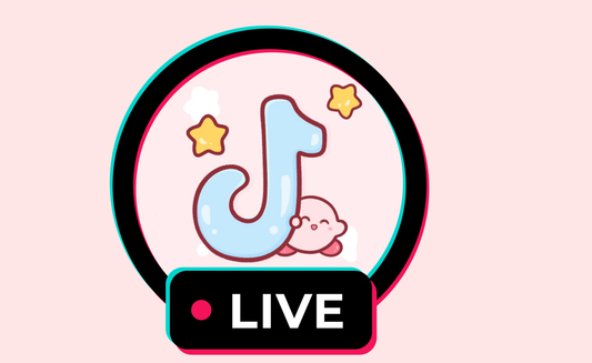 TikTok Livestream (optional zubuchbar)
